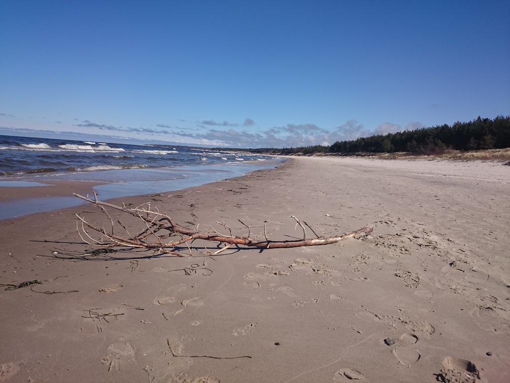 Apartamenty Robi Kołobrzeg Esterno foto